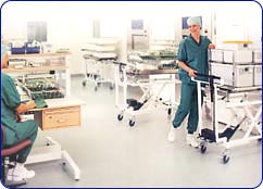 Liderana em Esterilizao